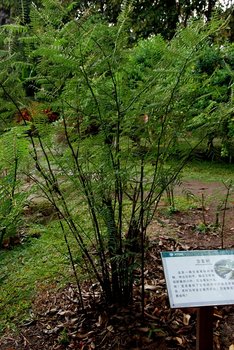 DSC_1788.JPG