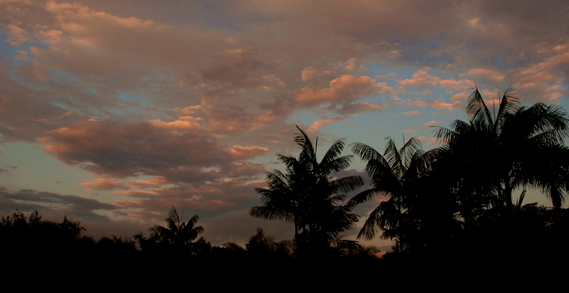 DSC_1915.JPG