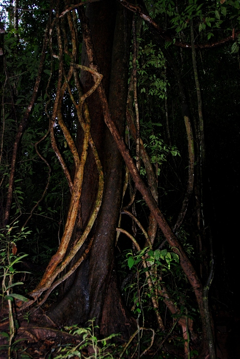 DSC_2021.JPG