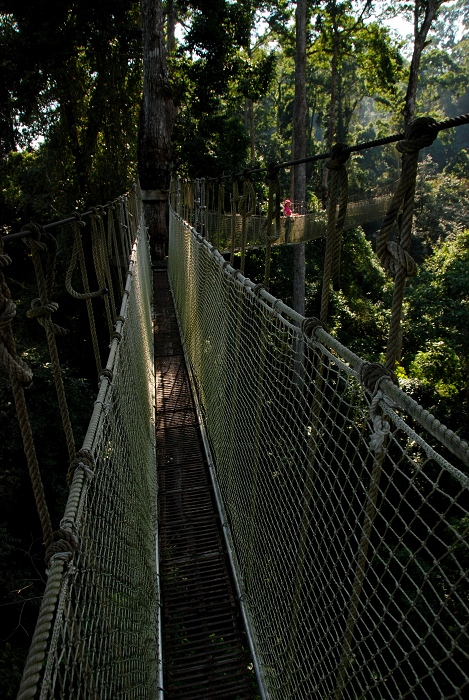 DSC_2119.JPG
