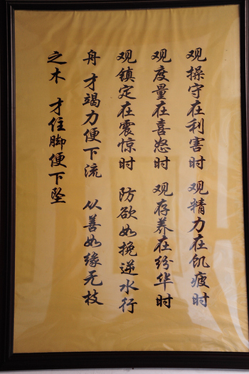 DSC_8919.JPG