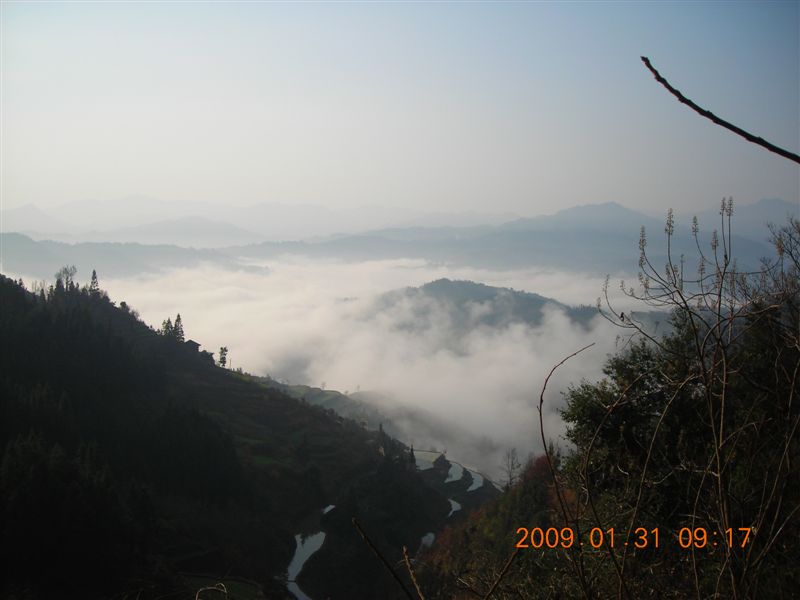 DSCN5946.JPG