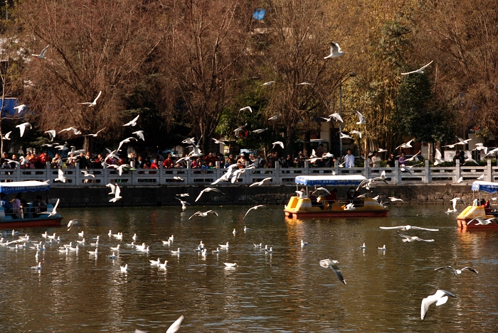DSC_0371.JPG