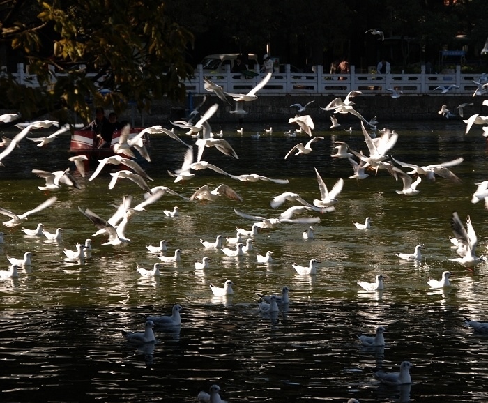 DSC_0375.JPG