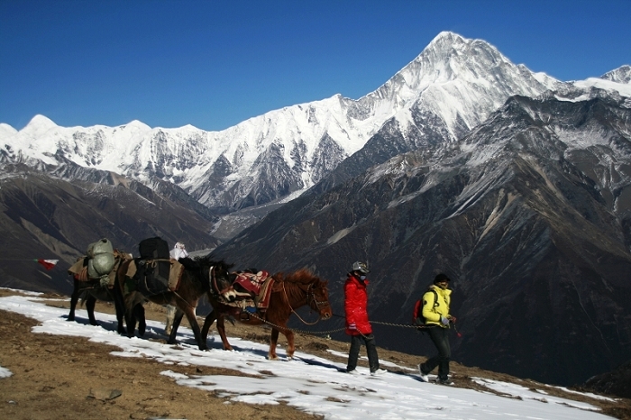 _MG_7160.jpg