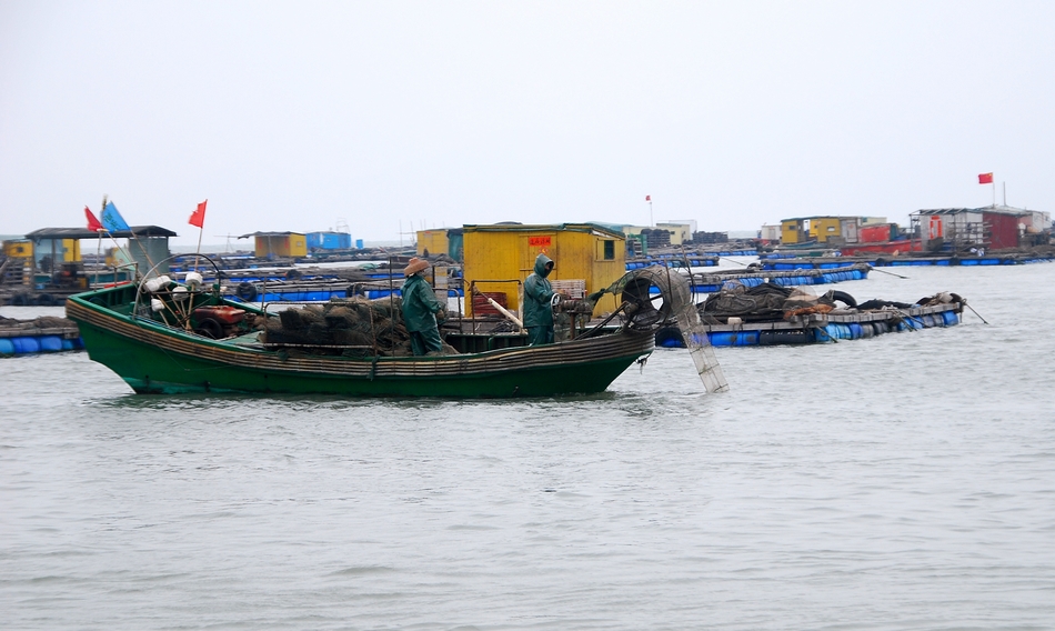 DSC_0532.jpg