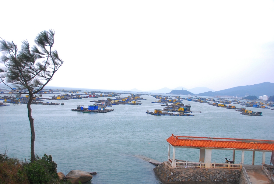 DSC_0553.jpg