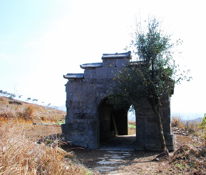 DSC_0012.jpg