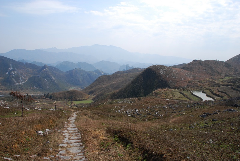 DSC_0028.jpg