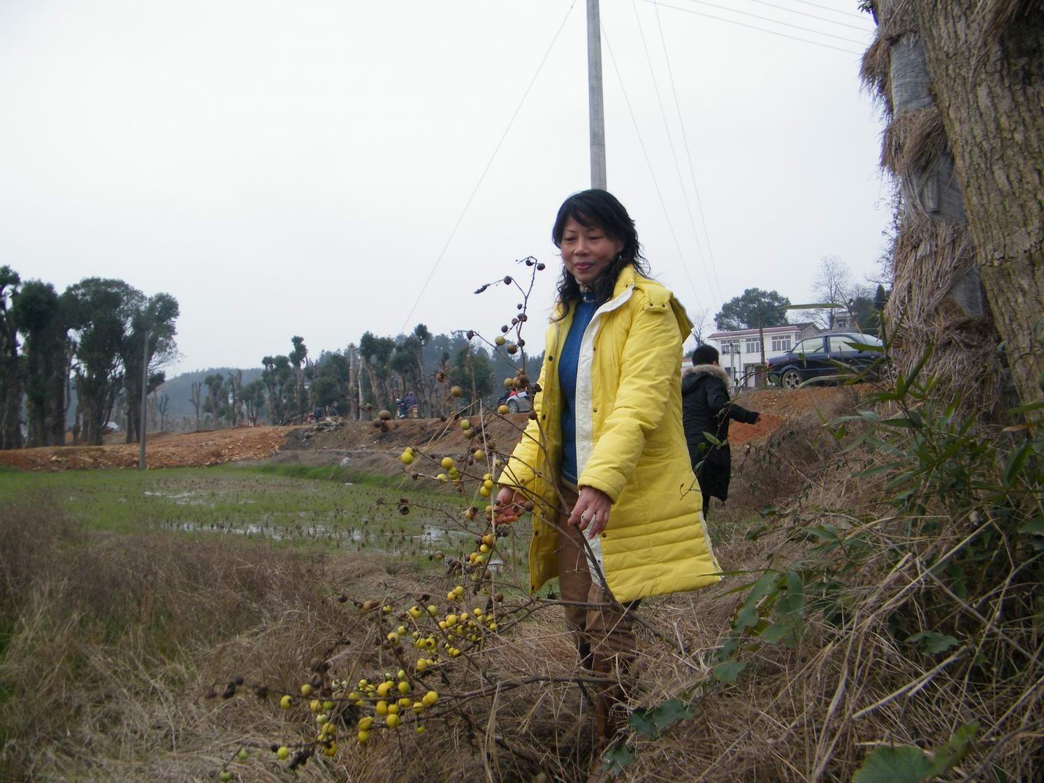 DSCF0123.JPG