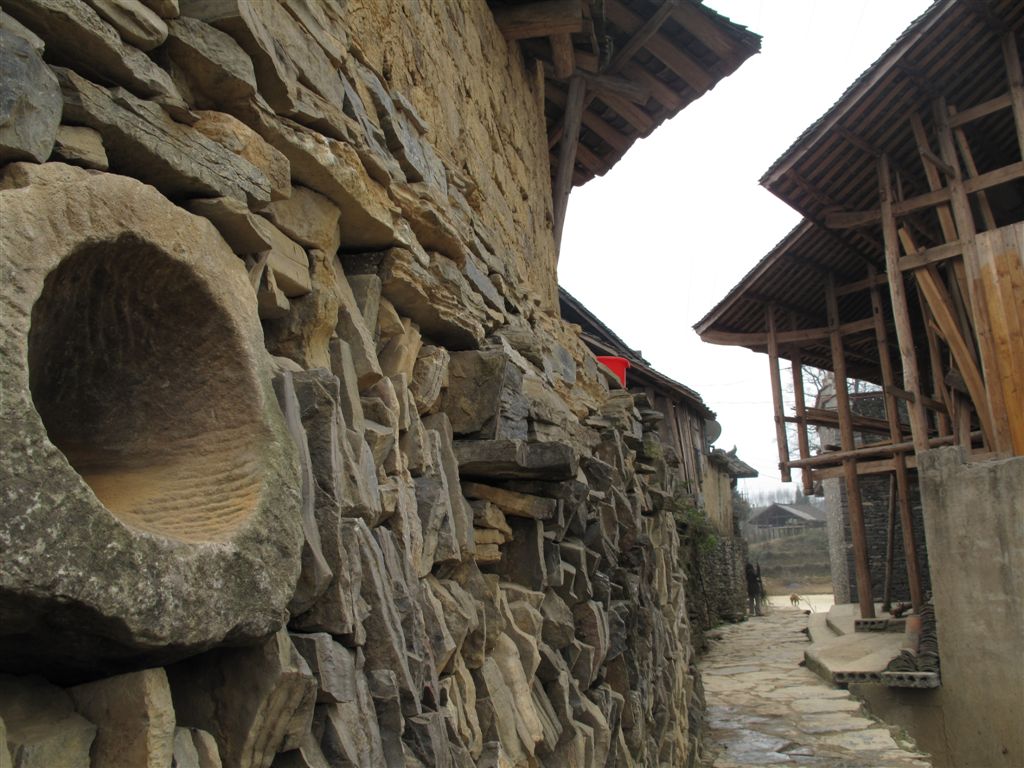 IMG_3047.jpg