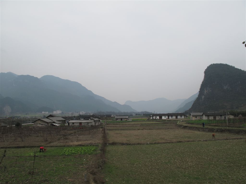 IMG_3275.jpg