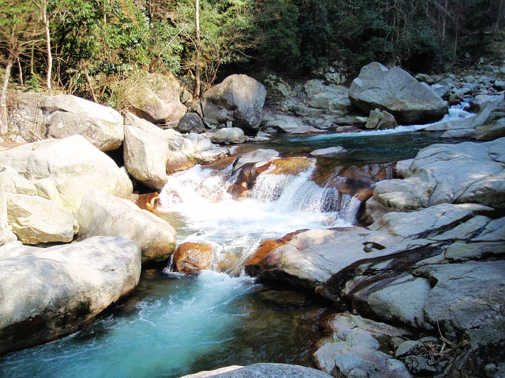 P2216394.jpg