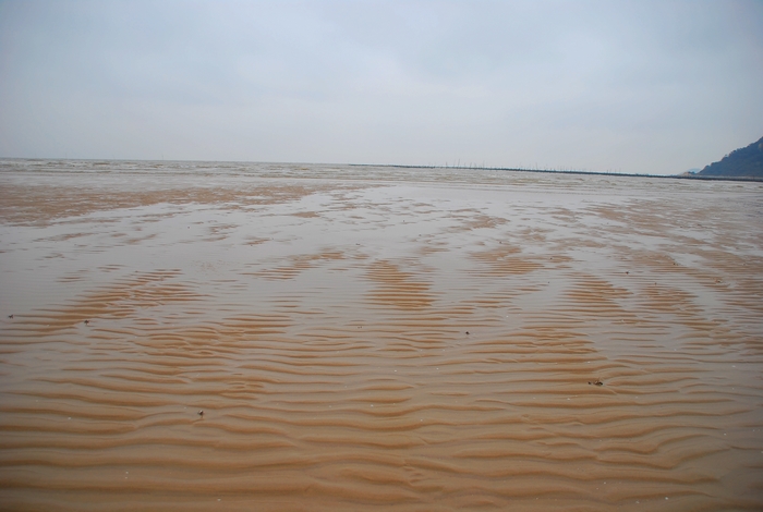 DSC_0206.jpg