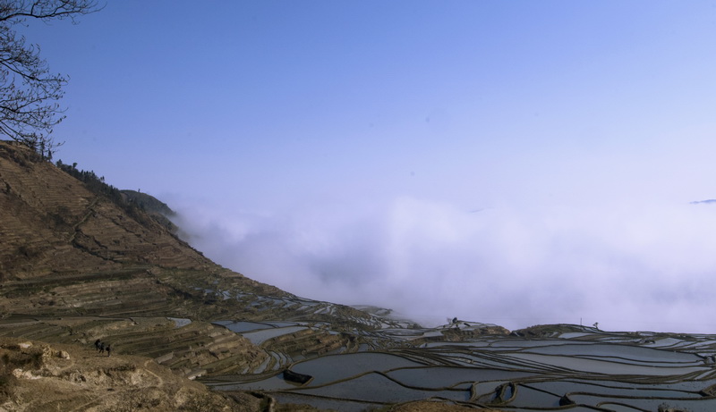 DSC_0045.jpg