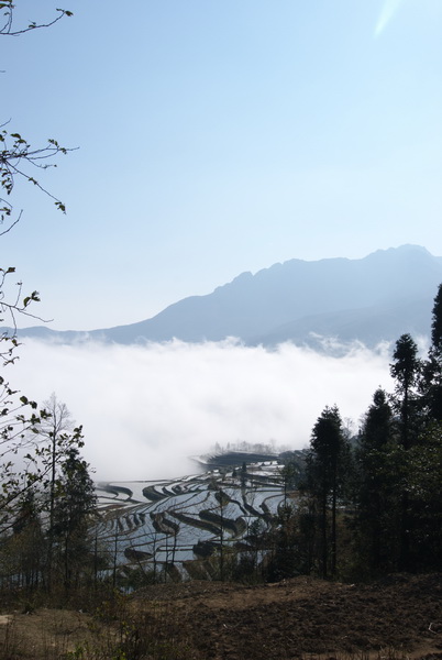 DSC_0059.jpg