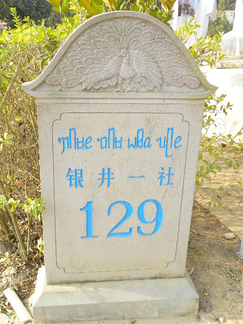 ��Ƭ 469.jpg