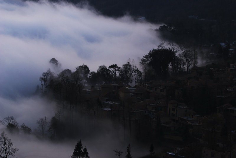 DSC_01260221.jpg