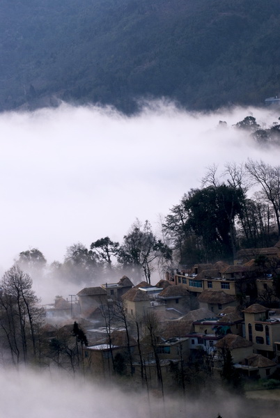 DSC_01330221.jpg
