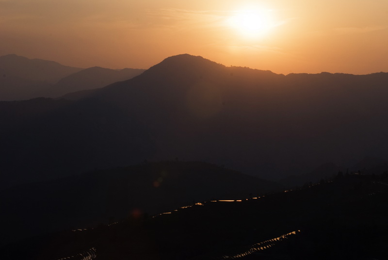 DSC_0205.jpg