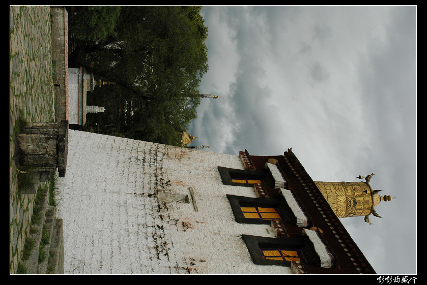DSC_9655.jpg