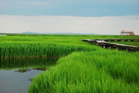 DSC_3070.jpg