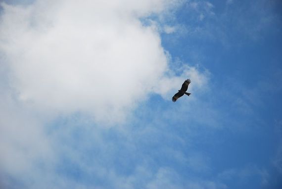 DSC_2974.jpg
