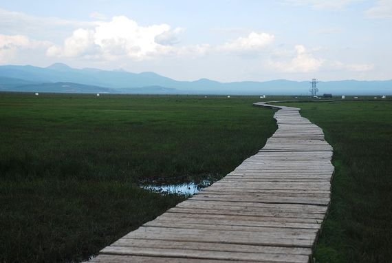 DSC_3016.jpg