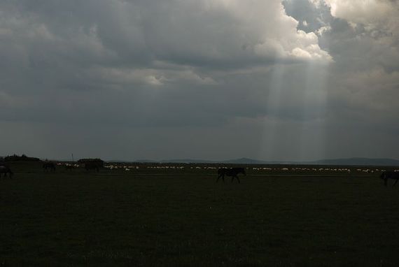 DSC_3010.jpg