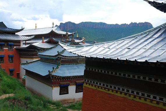 DSC_3201.jpg