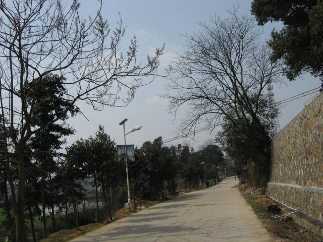 IMG_1550.JPG