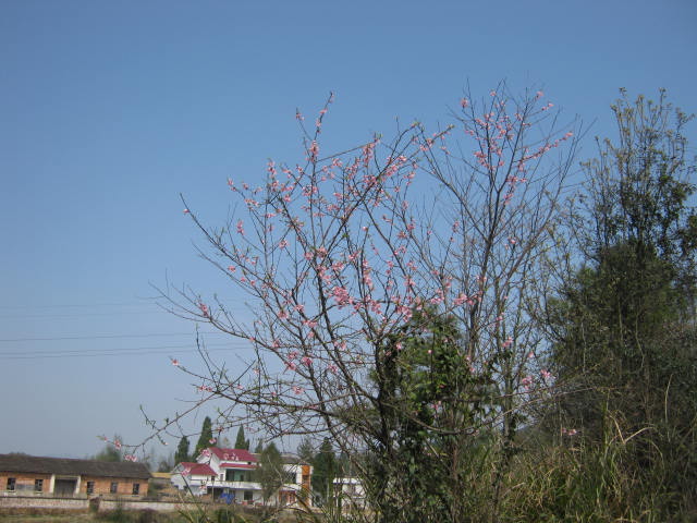 IMG_1571.JPG