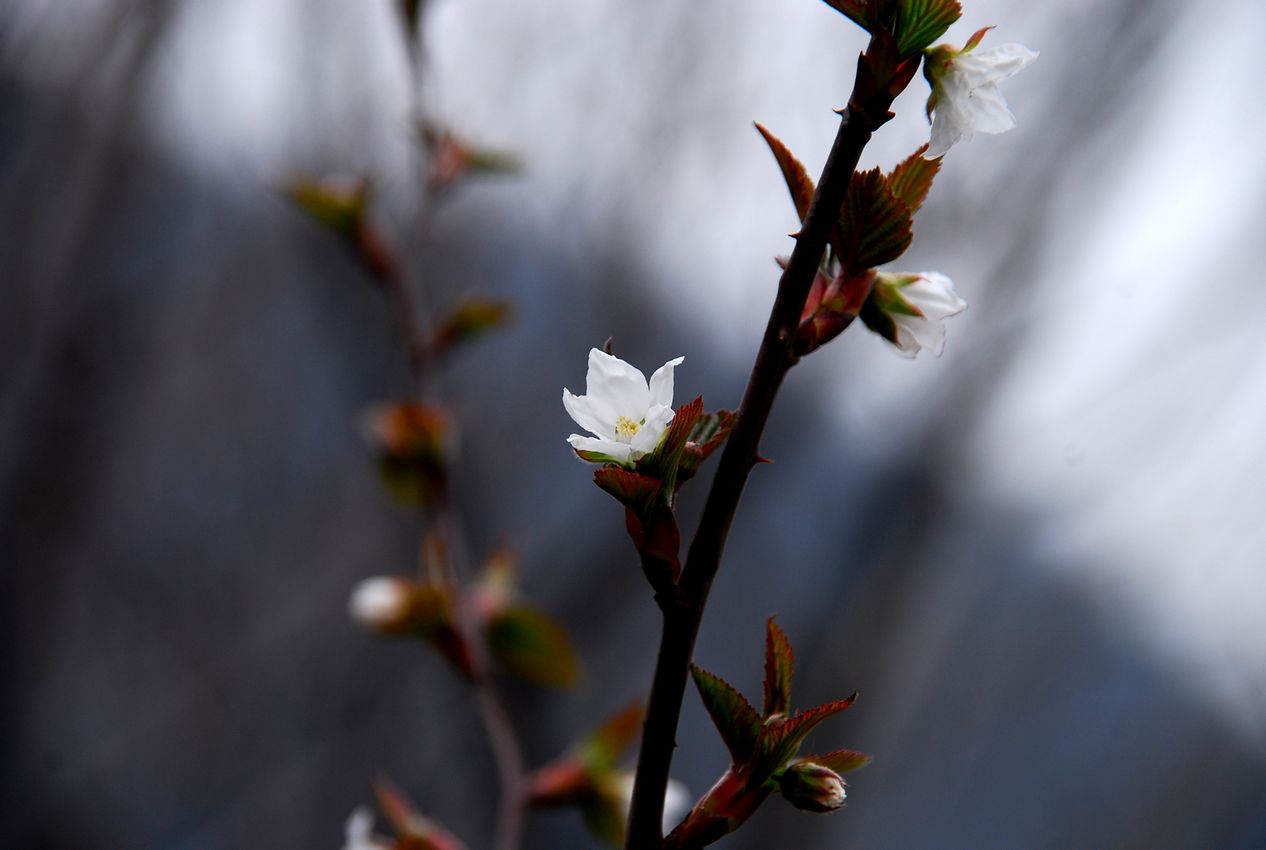 nEO_IMG_DSC_4023.jpg