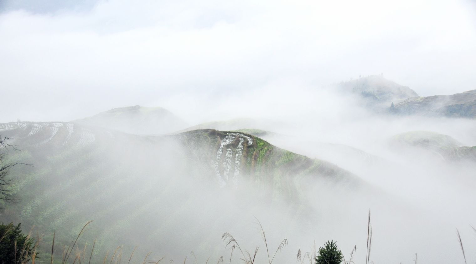 _DSC9051.jpg