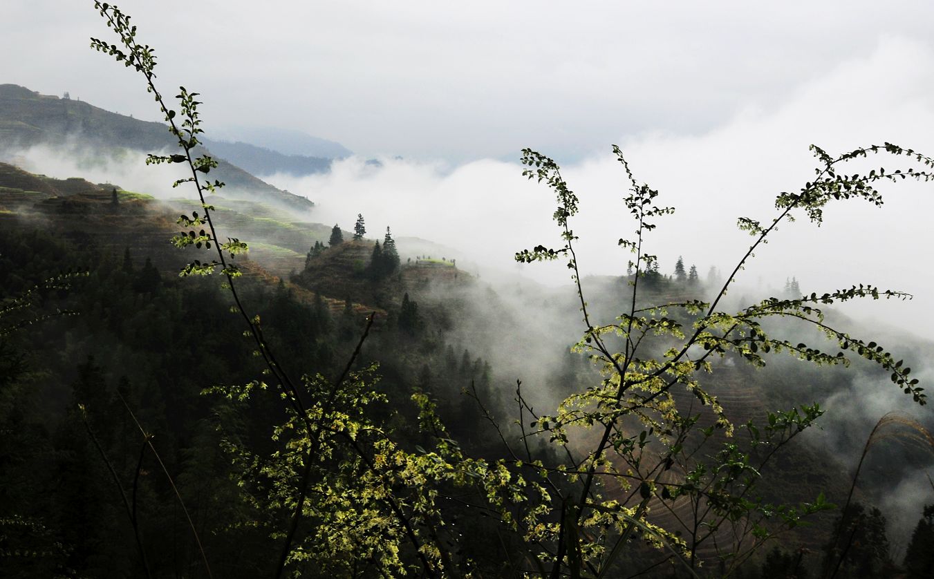 _DSC8948.jpg