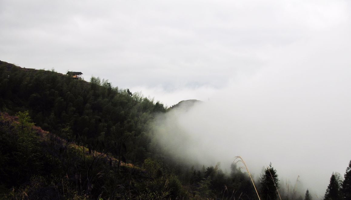 _DSC8958.jpg