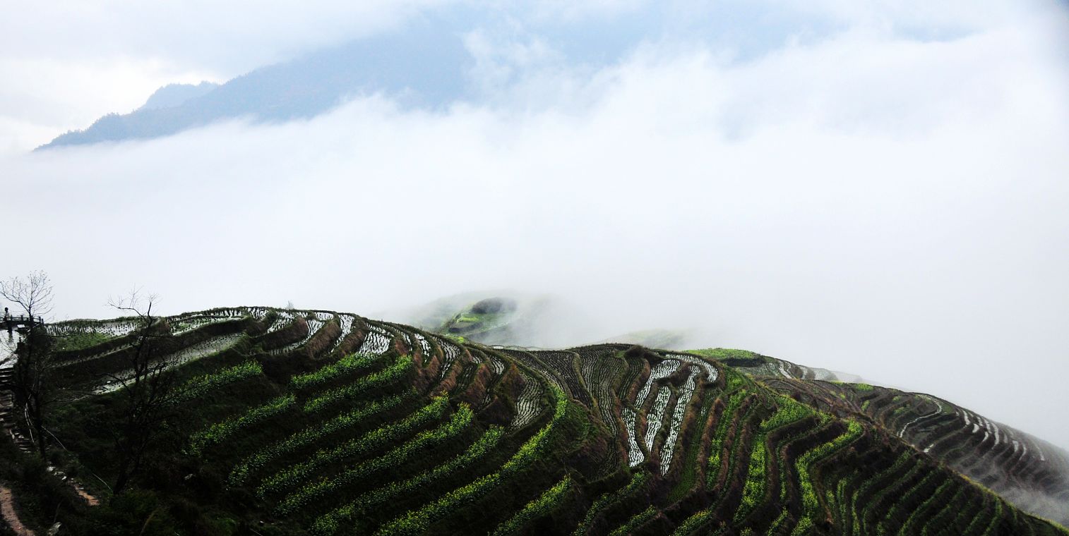 _DSC9024.jpg