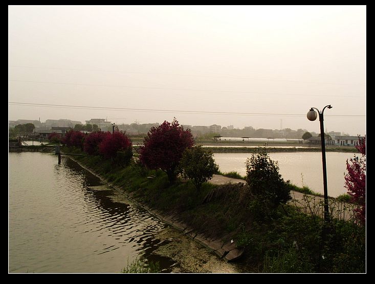 nEO_IMG_S1051526.jpg