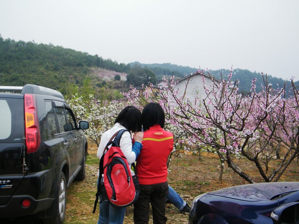 DSCF0017.JPG