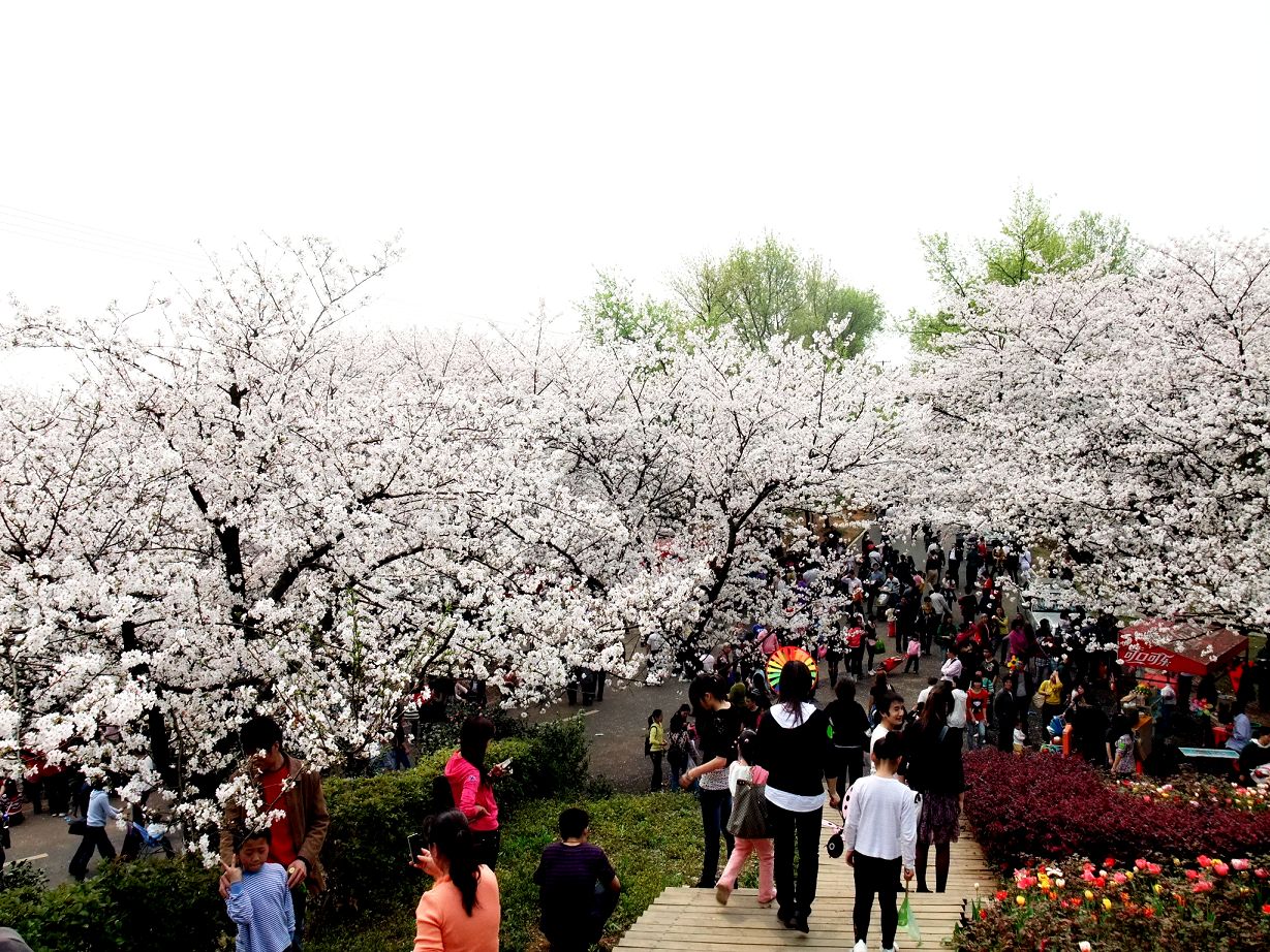 DSCF0524.jpg