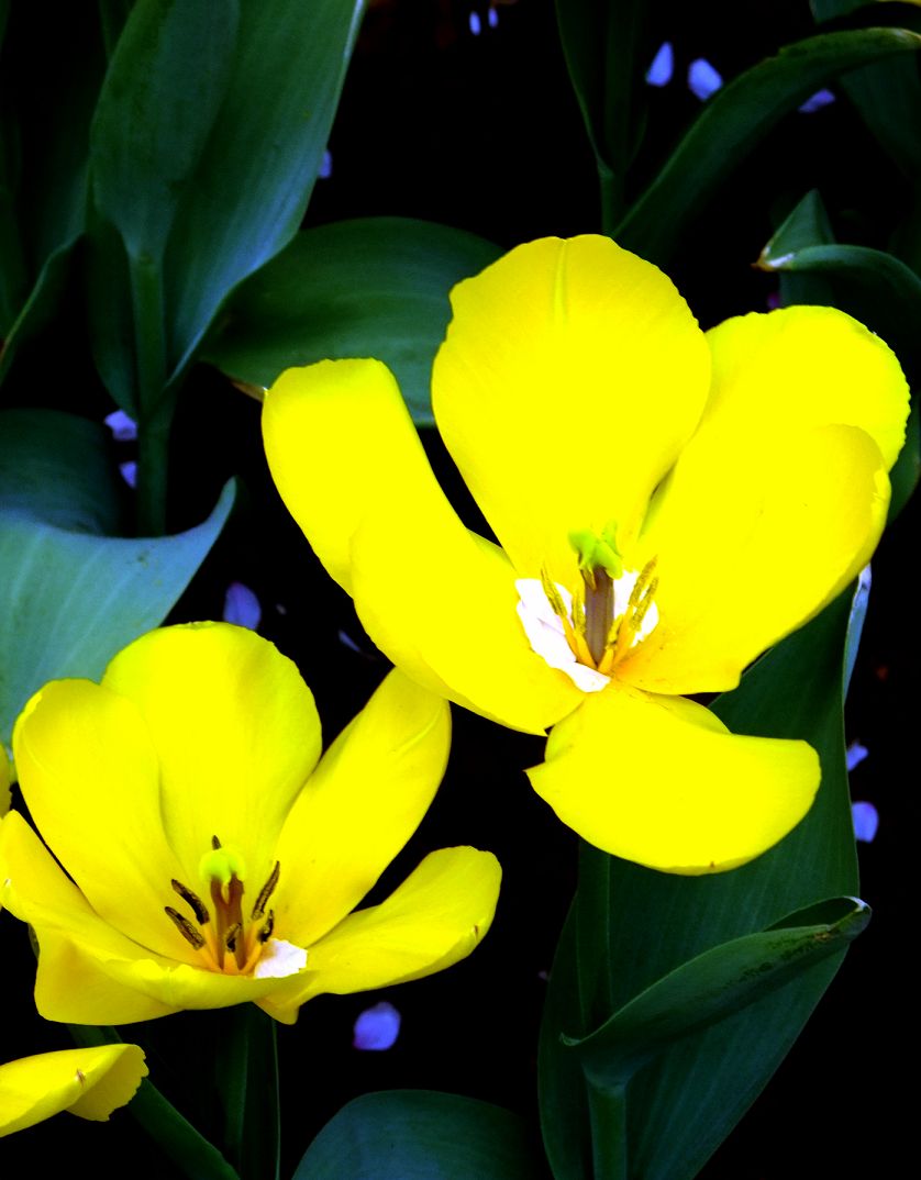 DSCF0548a.jpg
