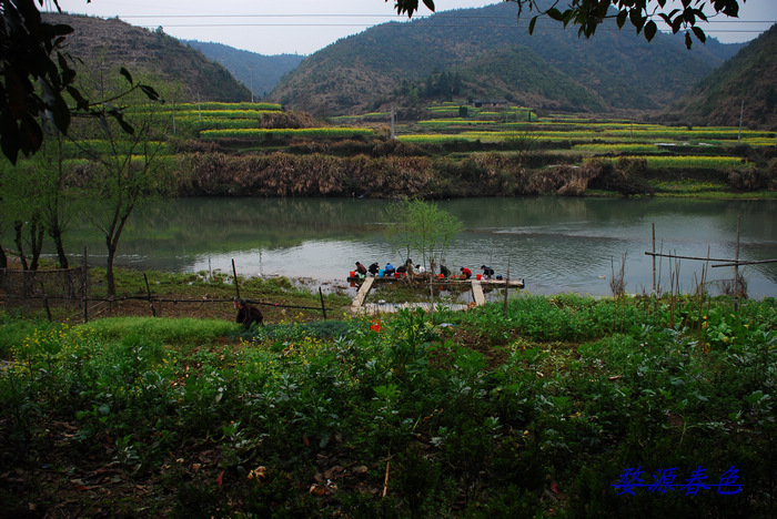 DSC_6883.jpg
