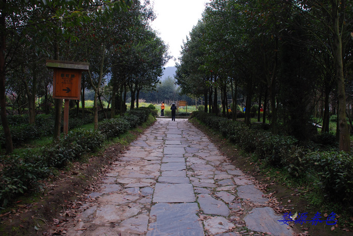 DSC_6889.jpg