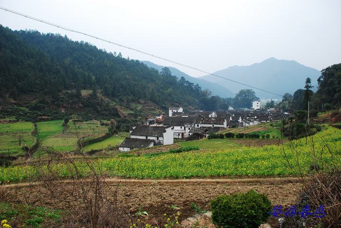 DSC_6903.jpg