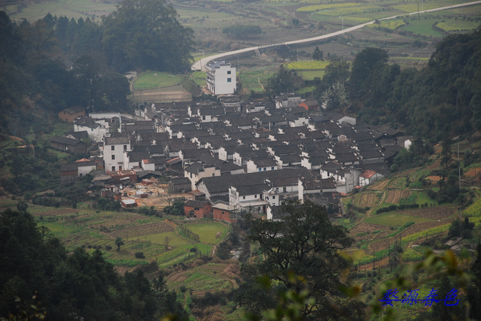 DSC_6907.jpg