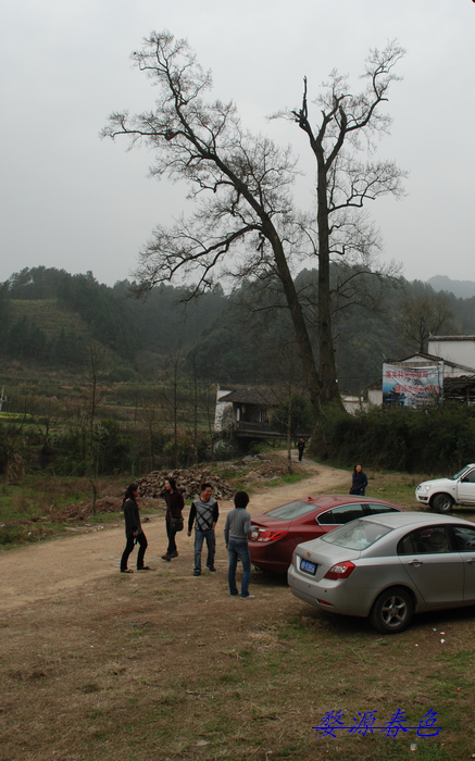 DSC_6931.jpg