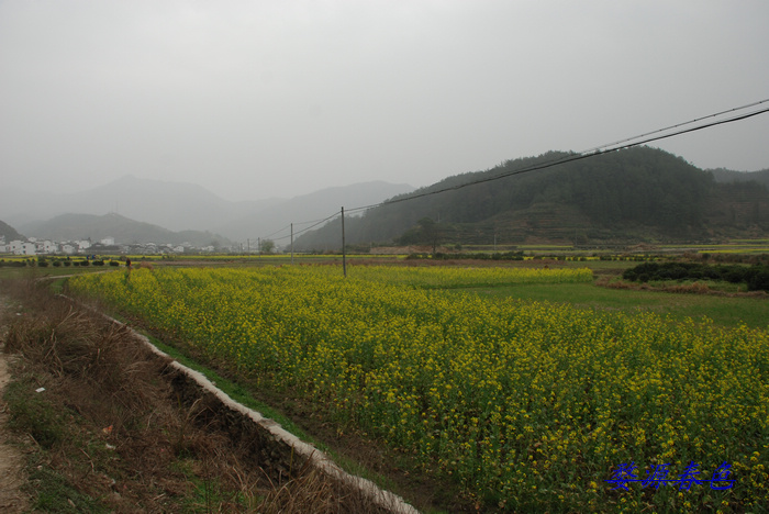DSC_6936.jpg