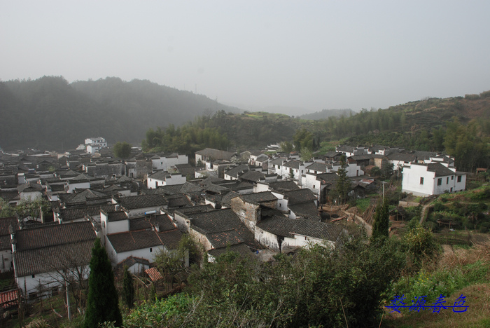 DSC_7060.jpg