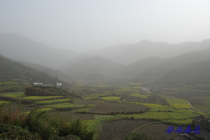 DSC_7067.jpg