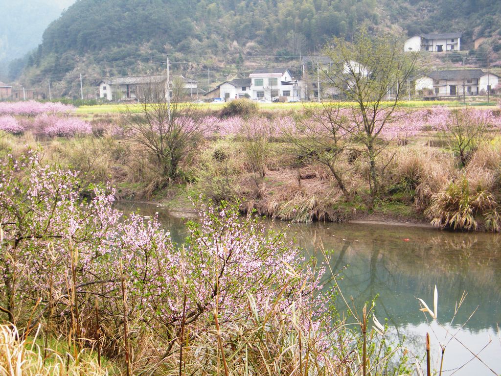 DSCF0107.JPG